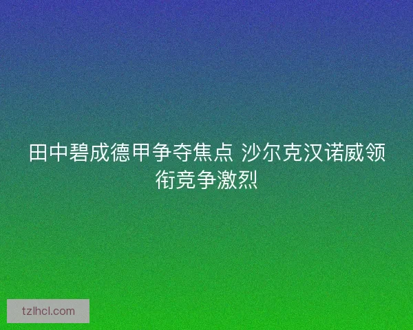 田中碧成德甲争夺焦点 沙尔克汉诺威领衔竞争激烈