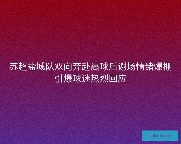 苏超盐城队双向奔赴赢球后谢场情绪爆棚引爆球迷热烈回应