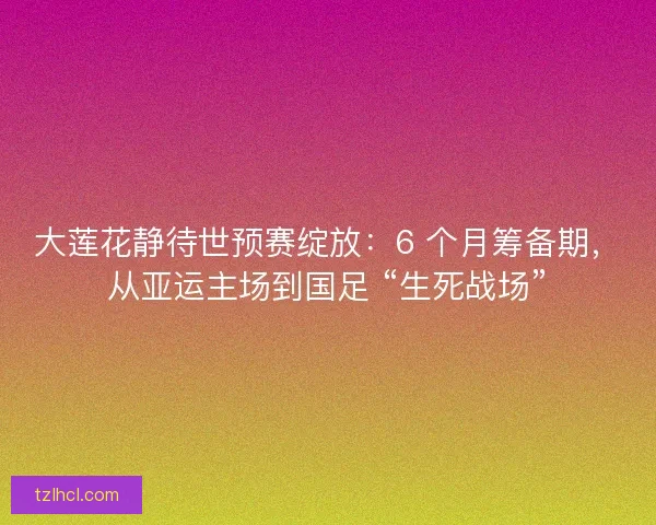 大莲花静待世预赛绽放：6 个月筹备期，从亚运主场到国足 “生死战场”