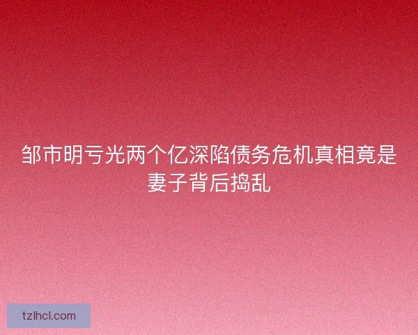 邹市明亏光两个亿深陷债务危机真相竟是妻子背后捣乱