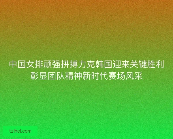 中国女排顽强拼搏力克韩国迎来关键胜利彰显团队精神新时代赛场风采