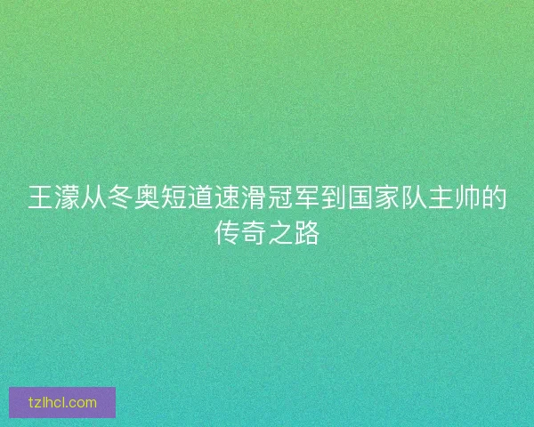 王濛从冬奥短道速滑冠军到国家队主帅的传奇之路